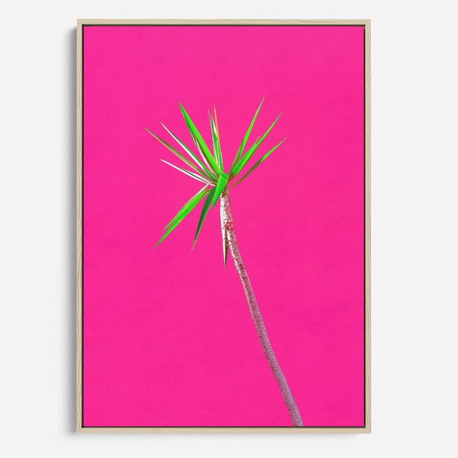 Obraz w ramie 50x70 - Retro Stylizacja - palma, liście - rama drewno