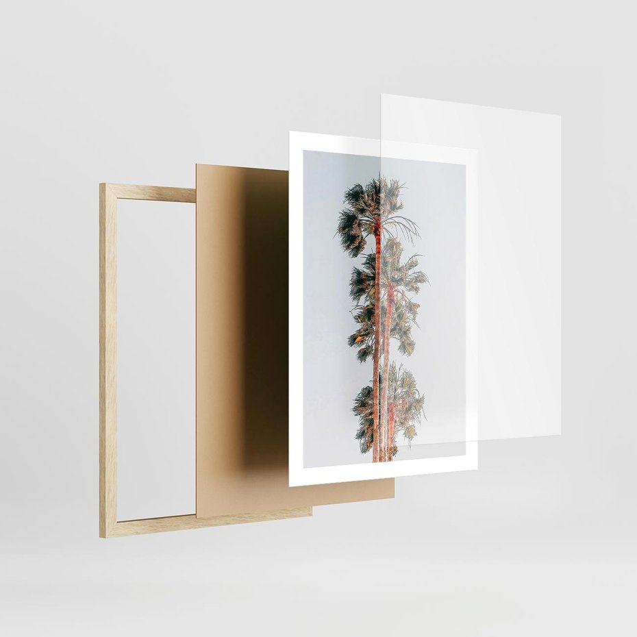 Plakat w ramie 50x70 - Kształty Palm - palmy, zdjęcie - rama drewno