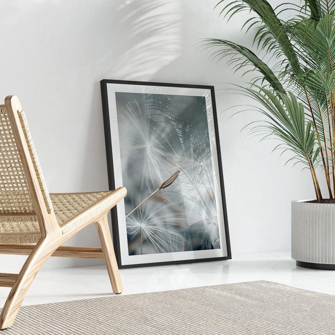 Plakat w ramie 50x70 - Piękno w Delikatności - dmuchawiec, makro zdjęcie - rama czarna