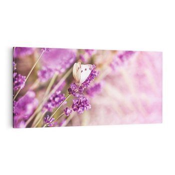 Obraz na płótnie 100x50 - Majestat lawendy: fioletowe pola - lawenda, fiolet