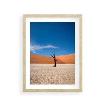 Plakat w ramie 30x40 - Słońce i Suche Drzewo - pustynia, suche - rama drewno