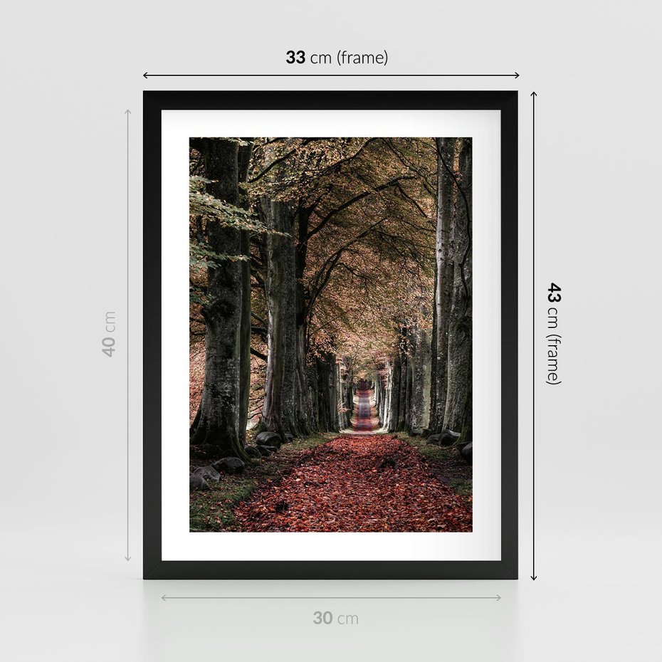 Plakat w ramie 30x40 - Spacer po Leśnej Drodze - ścieżka w lesie, jesień suche liście - rama czarna
