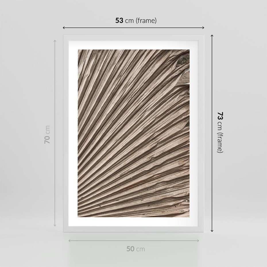 Plakat w ramie 50x70 - Liść Palmy w Wyjątkowej Kompozycji - suchy liść palmy, boho styl - rama biała
