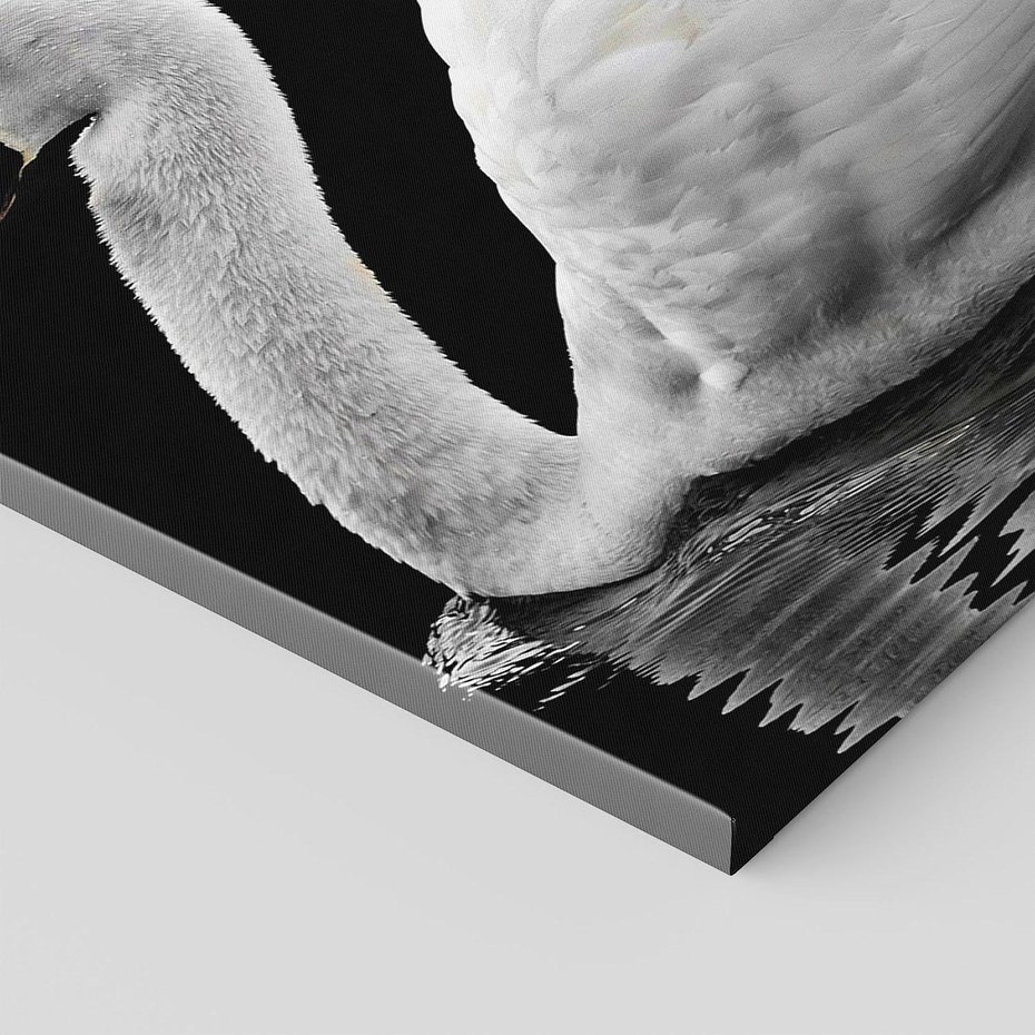 Obraz na płótnie 120x80 - Delikatne Uderzenie Skrzydeł Łabędzia - łabędź, ptak