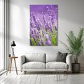 Obraz na płótnie 50x70 - Urok lawendy - lawenda, kwiaty