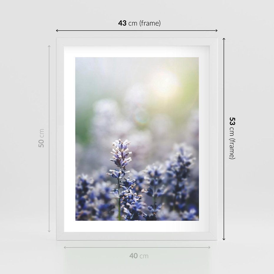 Plakat w ramie 40x50 - Delikatna Uroda Natury - wrzosy, fiolet - rama biała