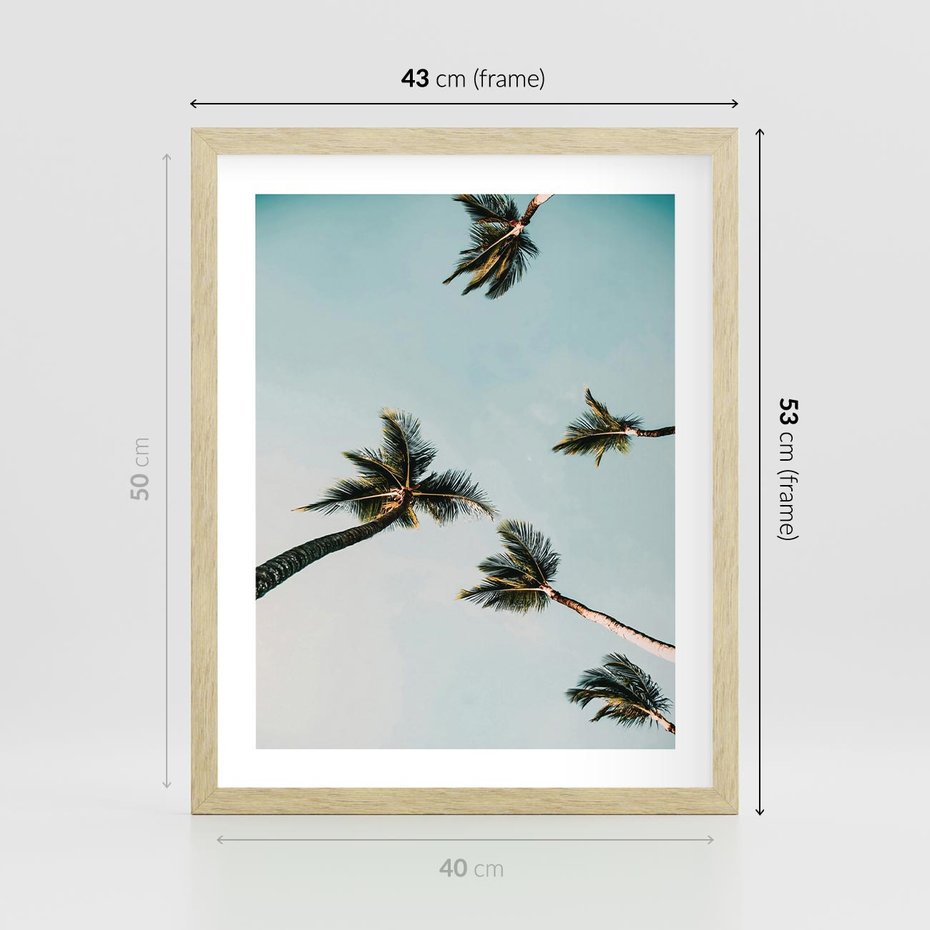 Plakat w ramie 40x50 - Palmy i Niebo - palmy, ujęcie z dołu - rama drewno