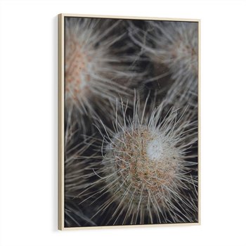 Obraz w ramie 80x120 - Ulotna Piękność Natury - makro, dmuchawce - rama drewno