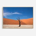 Obraz w ramie 70x50 - Słońce i Suche Drzewo - pustynia, suche - rama drewno