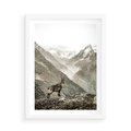 Plakat w ramie 50x70 - Dzikie Piękno: Kozica w Malowniczym Górskim Scenerii - kozica, góry - rama biała