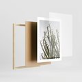 Plakat w ramie 30x40 - Ekskluzywna Roślinność - kaktusy, liście - rama drewno