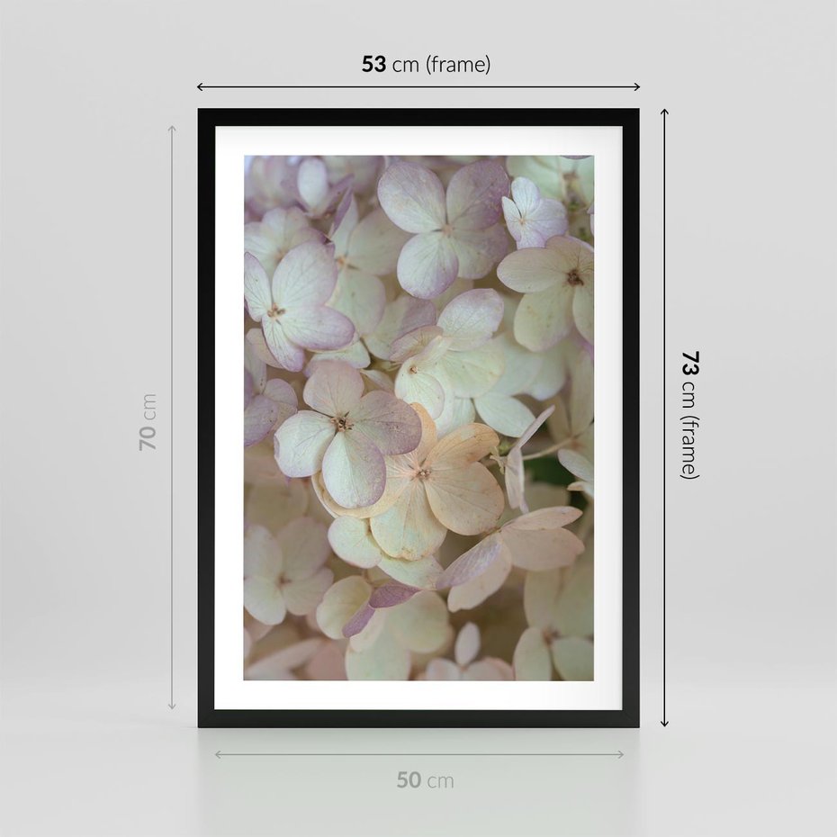 Plakat w ramie 50x70 - Kwiatowy taniec - kwiaty, hortensje - rama czarna