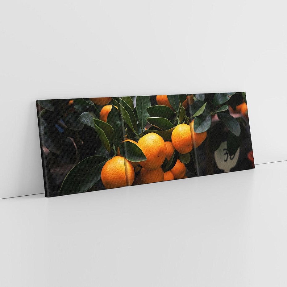 Obraz na płótnie 120x40 - Mandarynki Drzewko Urodzaju - mandarynki, drzewko