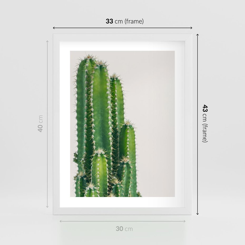 Plakat w ramie 30x40 - Minimalistyczne Kaktusy na Białym Tle - kaktusy, minimalistyczna fotografia - rama biała