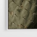 Obraz w ramie 50x50 - Urok Egzotyki - kaktusy, boho - rama biała