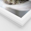 Plakat w ramie 50x70 - Kaktus w Zbliżeniu - kaktus, igły - rama biała
