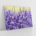 Obraz na płótnie 120x80 - Magia lawendy delikatne kwiaty - lawenda, kwiat