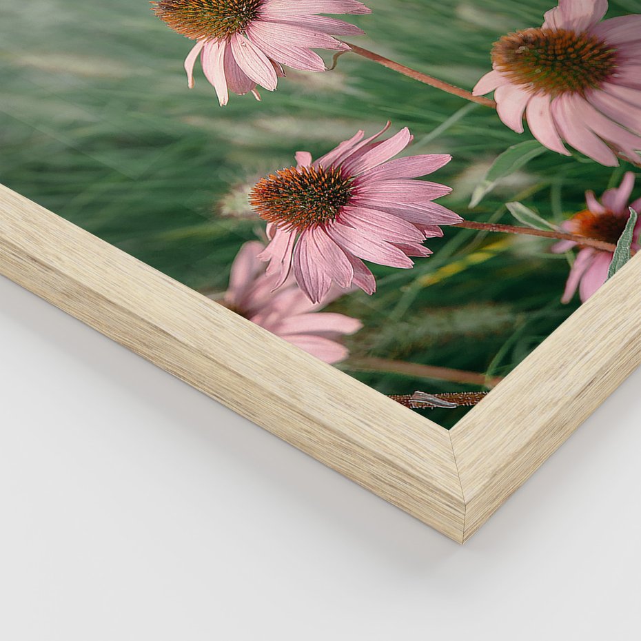 Zestaw obrazy w ramie 40x50 galeria - Kwiaty, łąka, suche, trawy - rama drewno