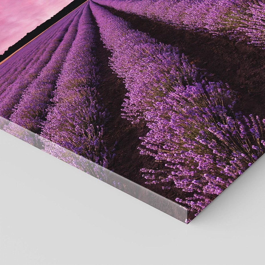 Obraz na płótnie 40x40 - Pola lawendy w pełnym rozkwicie - Lawenda, krajobraz