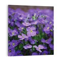 Obraz na płótnie 50x50 - Kwiatowe uniesienia magia natury - kwiat, kwiaty