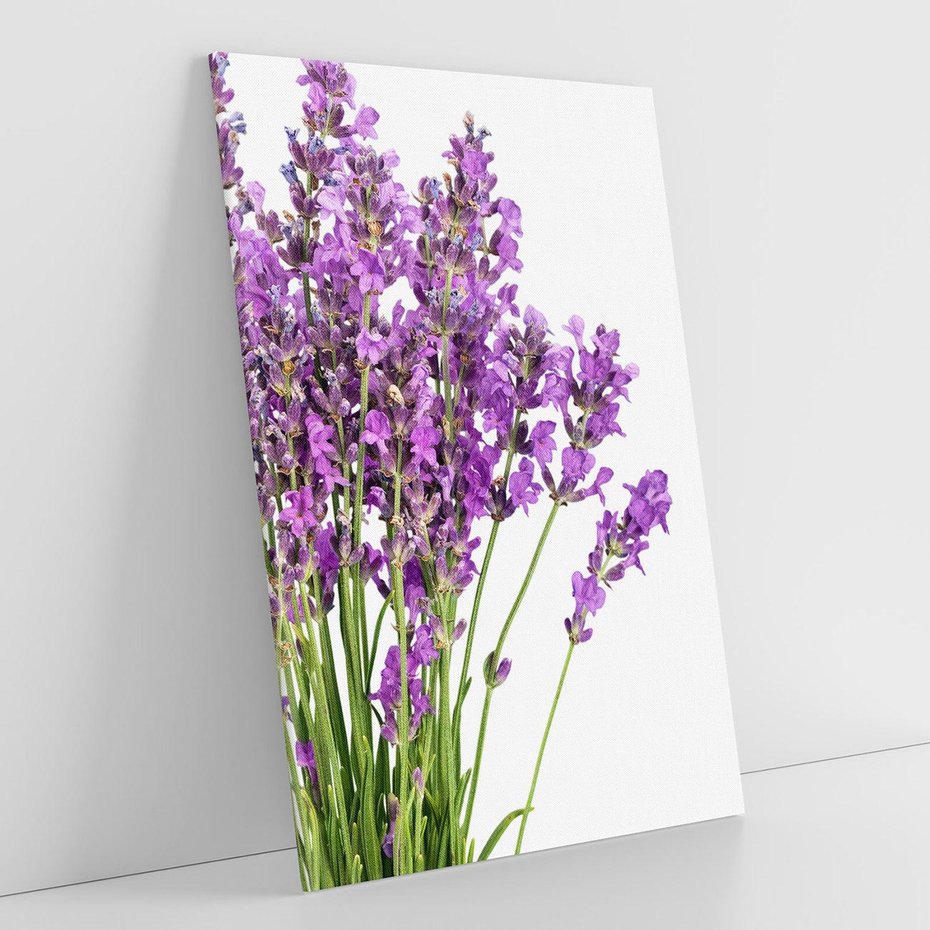 Obraz na płótnie 70x100 - Pola lawendy w pełnym rozkwicie - lawenda, kwiaty