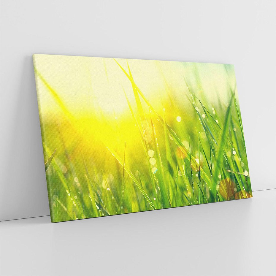 Obraz na płótnie 120x80 - Piękno Poranka - łąka, trawa