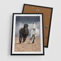 Plakat w ramie 50x70 - Siła koni w galopie - konie, galop - rama czarna