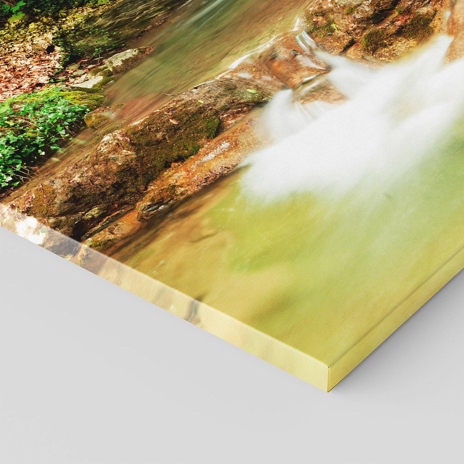 Obraz na płótnie 80x120 - Idylliczny las z bujnym strumykiem - las, drzewa