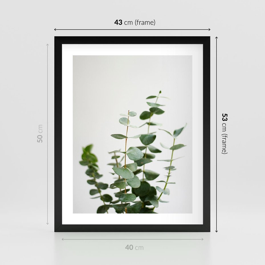 Plakat w ramie 40x50 - Żywa eukaliptusowa zieleń - eukaliptus, zielone - rama czarna