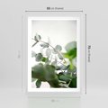 Plakat w ramie 50x70 - Zielony Świat Eukaliptusa - eukaliptus, fotografia - rama biała