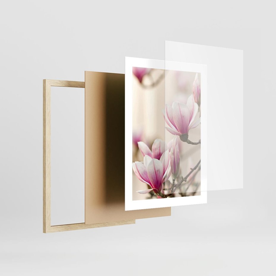 Plakat w ramie 30x40 - Urok Magnolii - magnolie, kwiaty - rama drewno