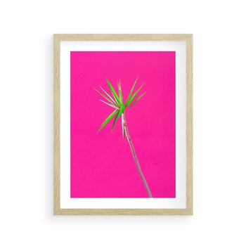 Plakat w ramie 40x50 - Retro Stylizacja - palma, liście - rama drewno