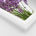 Plakat w ramie 30x40 - Pola lawendy w pełnym rozkwicie - lawenda, kwiaty - rama biała