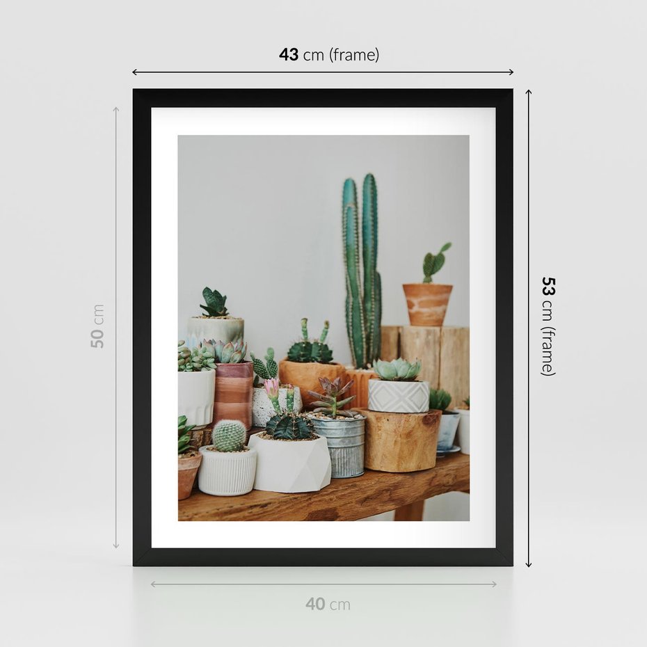 Plakat w ramie 40x50 - Kaktusowa Galeria w Doniczkach - kaktusy w doniczkach, fotografia - rama czarna