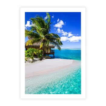 Plakat bez ramy 50x70 - Zaklęte palmy tropików - palmy, ocean