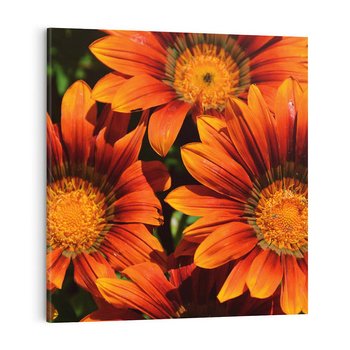 Obraz na płótnie 50x50 - Kwiatowa Esencja - kwiat, kwiaty