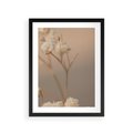 Plakat w ramie 30x40 - Subtelna gipsówka - gipsówka, suche - rama czarna