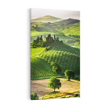 Obraz na płótnie 50x70 - Prowansja: malownicze winnice w kraju Włoch - Prowansja, Włochy
