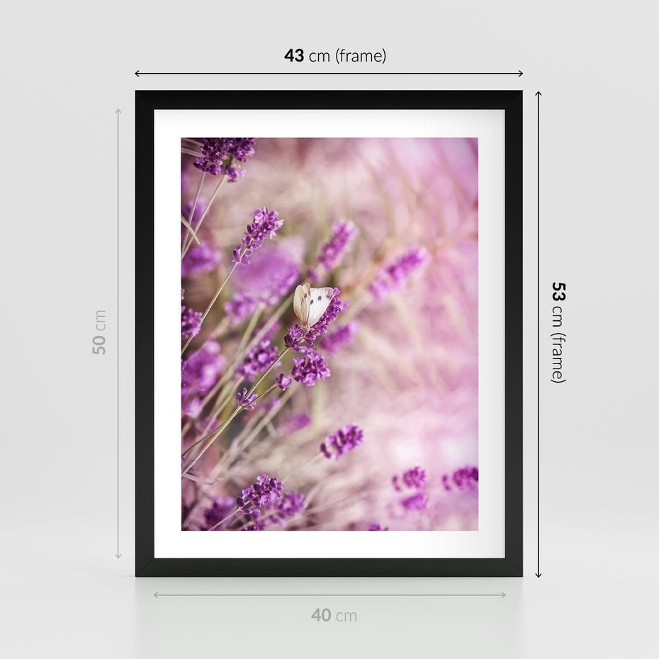Plakat w ramie 40x50 - Majestat lawendy: fioletowe pola - lawenda, fiolet - rama czarna