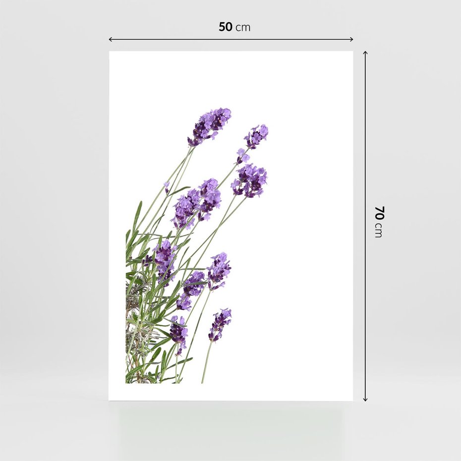 Plakat bez ramy 50x70 - Delikatny Urok - lawenda, kwiaty