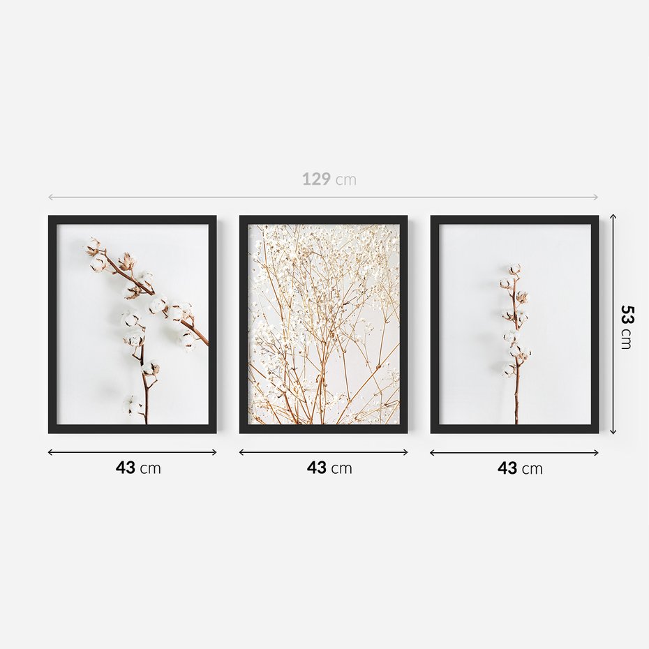 Zestaw obrazy w ramie 40x50 galeria - Gipsówka, bawełna, kwiaty, susz - rama czarna