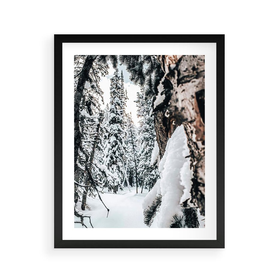 Plakat w ramie 40x50 - Drzewa pod Śniegiem - zima las, drzewa pod śniegiem - rama czarna