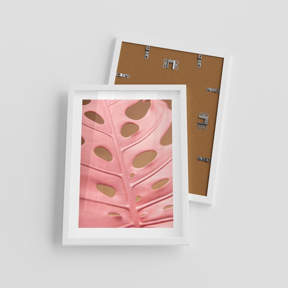 Plakat w ramie 30x40 - Różowa monstera w pełnym rozkwicie - różowa, monstera - rama biała