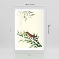 Plakat w ramie 50x70 - Roślinne Nastroje - japońska sztuka, ptak - rama biała