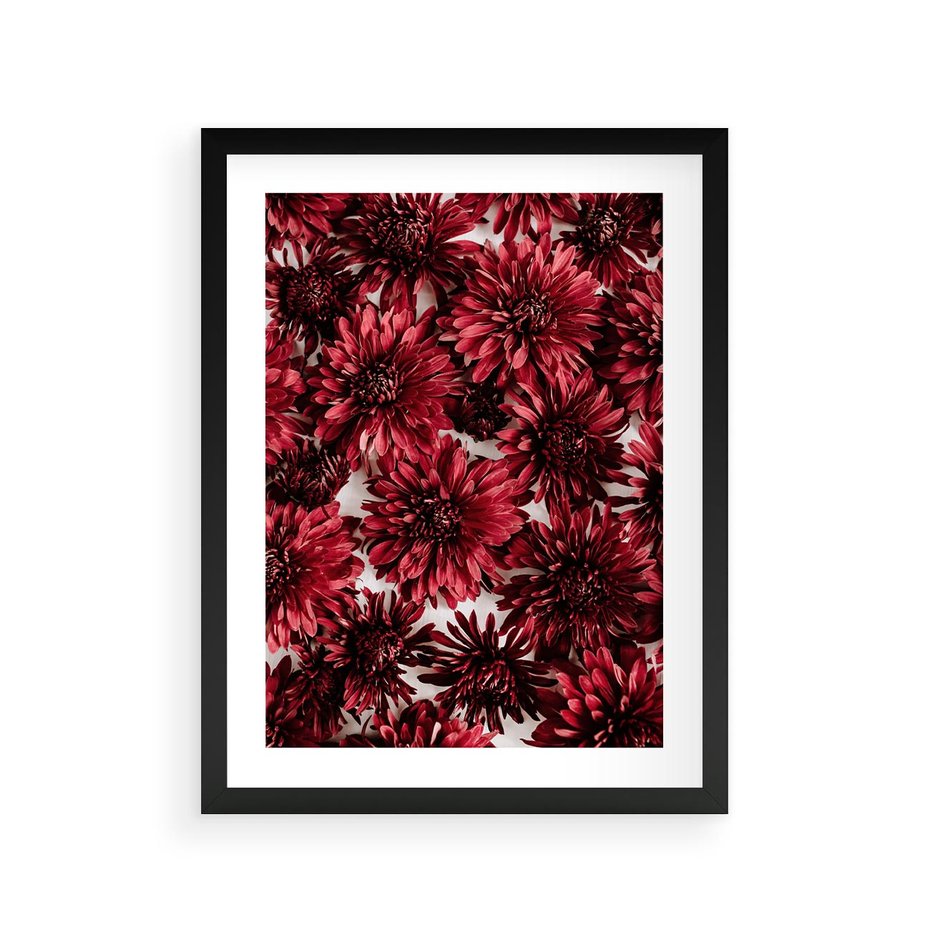 Plakat w ramie 30x40 - Energia Kwiatów - czerwone kwiaty, kompozycja - rama czarna