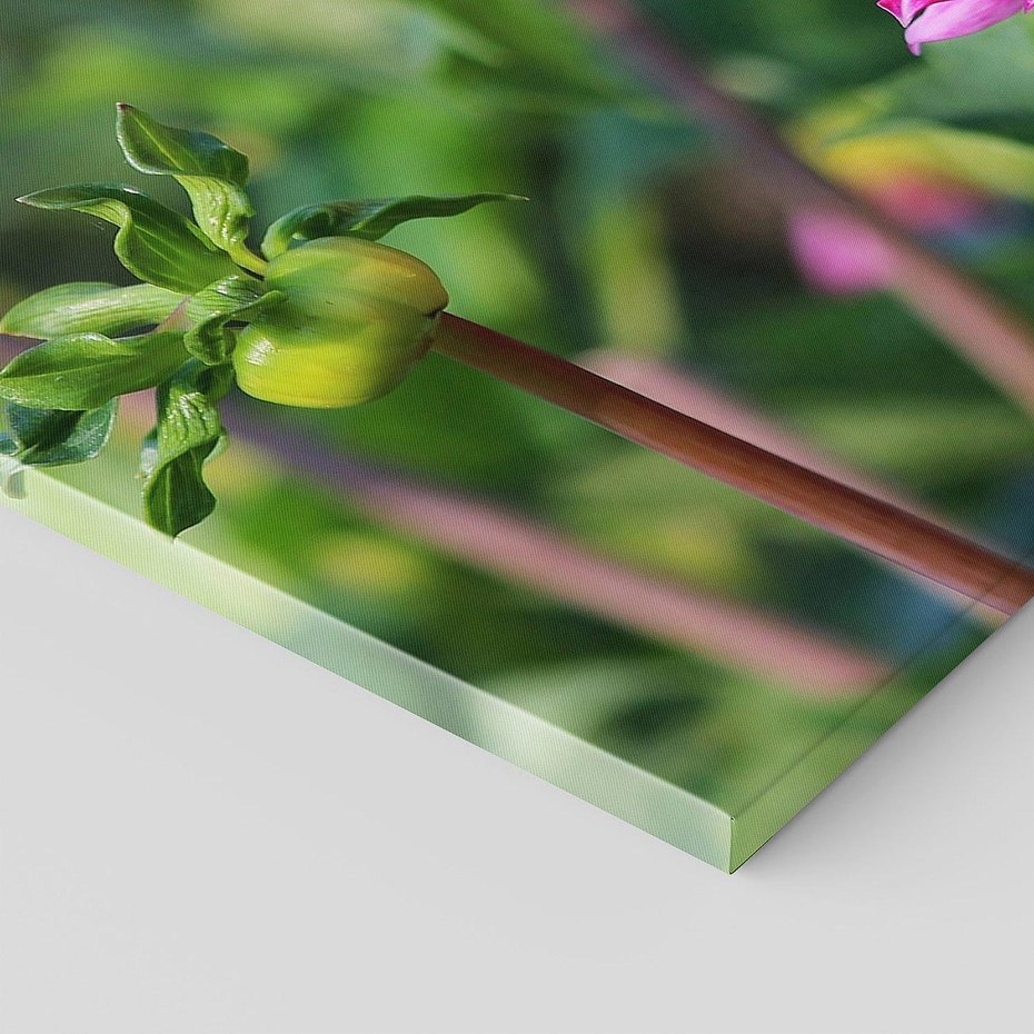 Obraz na płótnie 140x70 - Kwiatowe impresje natury - kwiat, kwiaty