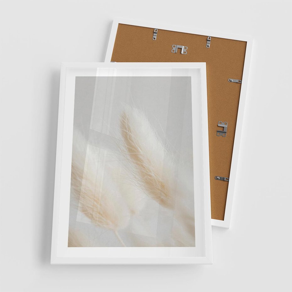 Plakat w ramie 50x70 - Czysty Minimalizm - białe trawy, minimalizm - rama biała