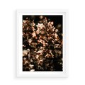 Plakat w ramie 50x70 - Sucha Kompozycja Kwiatów - suche kwiaty hortensji - rama biała