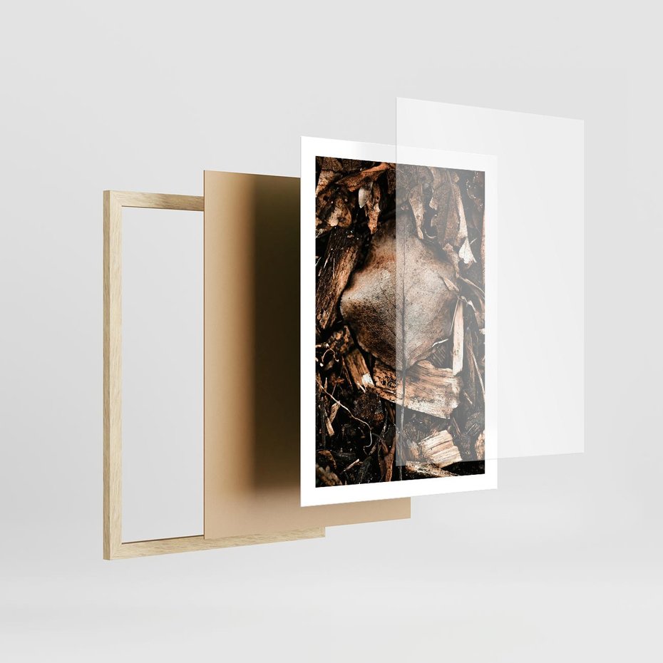 Plakat w ramie 50x70 - Samotny Liść - liść, brąz - rama drewno