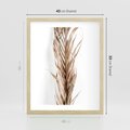Plakat w ramie 40x50 - Minimalizm Palmowy: Sucha Uroda - sucha palma, minimalizm - rama drewno